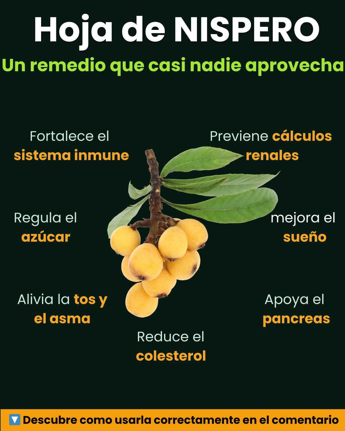 Hojas de níspero recicladas en decoraciones