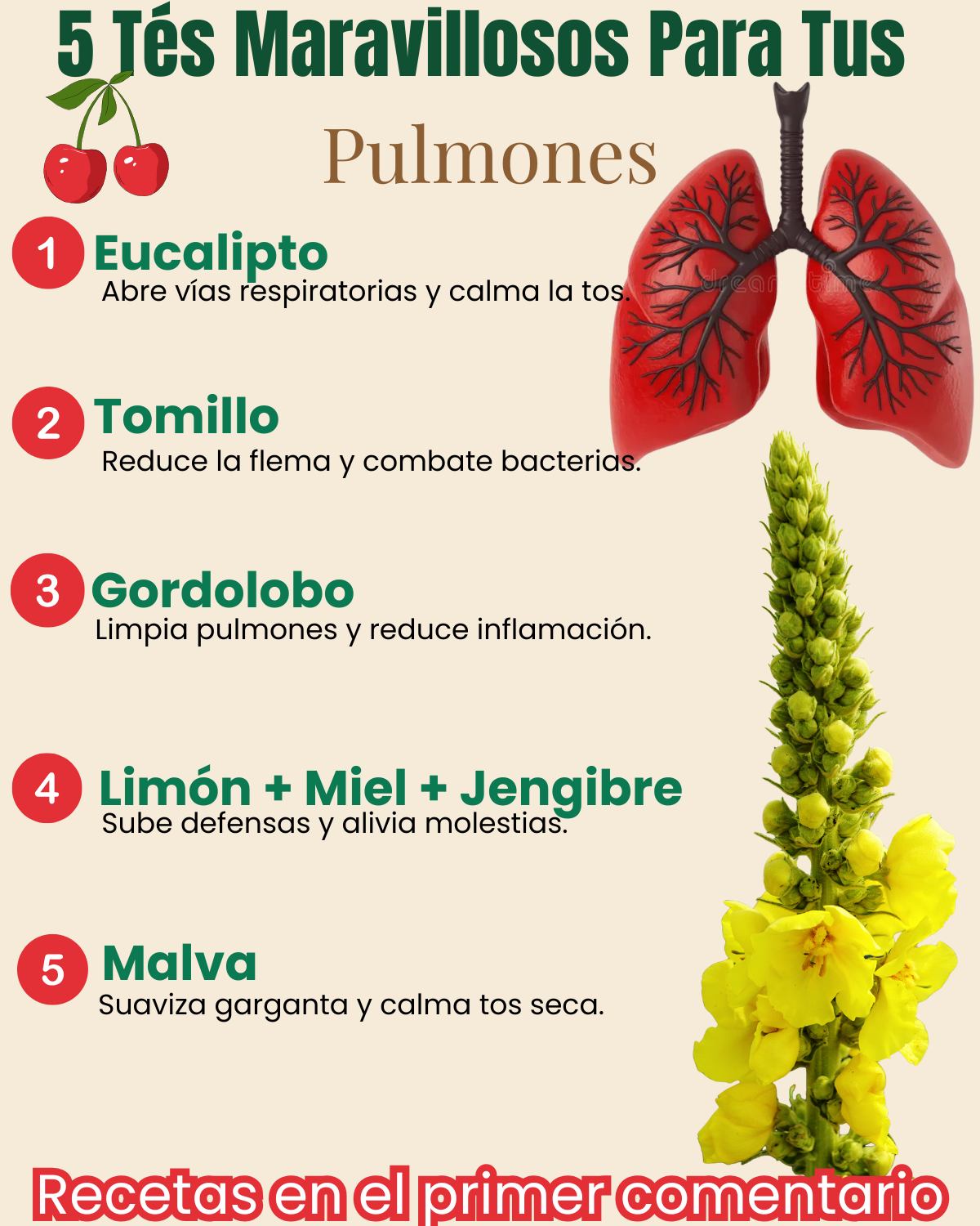 5 tés maravillosos para pulmones