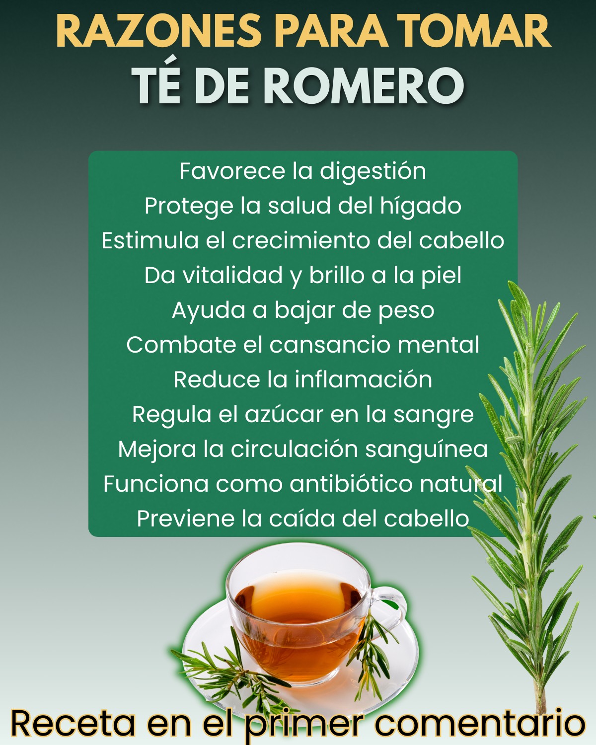 Razones para tomar té de romero