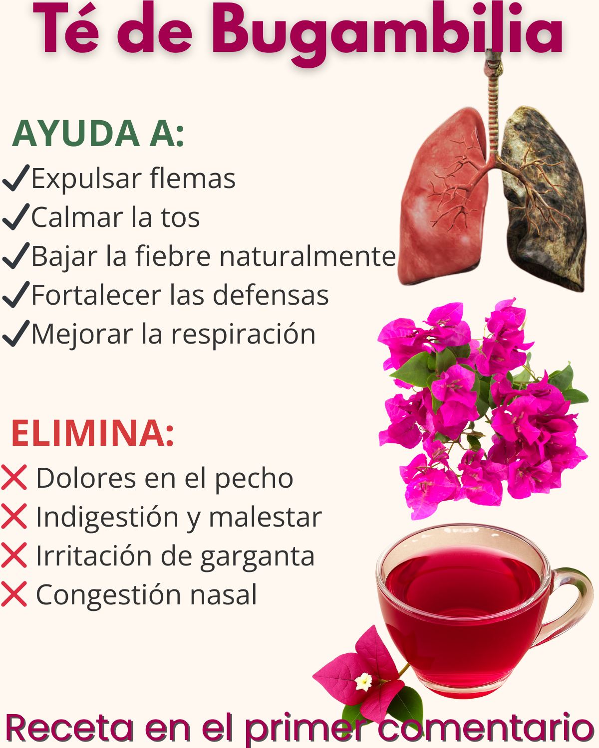 Té de bugambilia beneficios para salud respiratoria